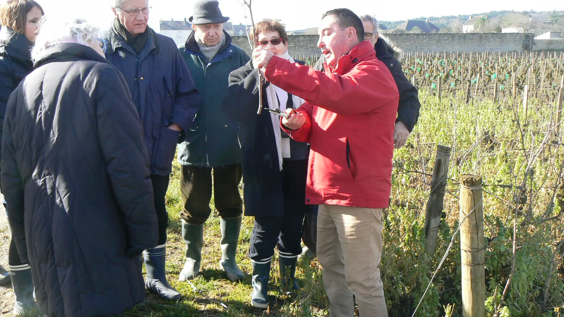 Balade Atelier Vigne et Vin
