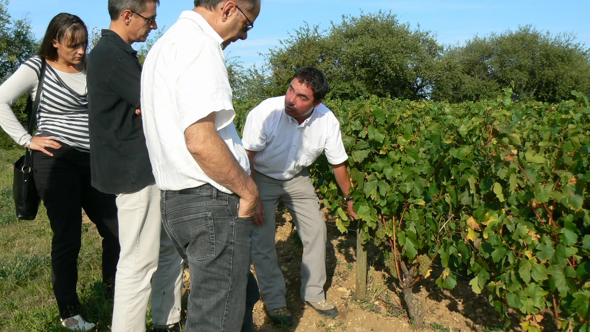 Balade Atelier Vigne et Vin