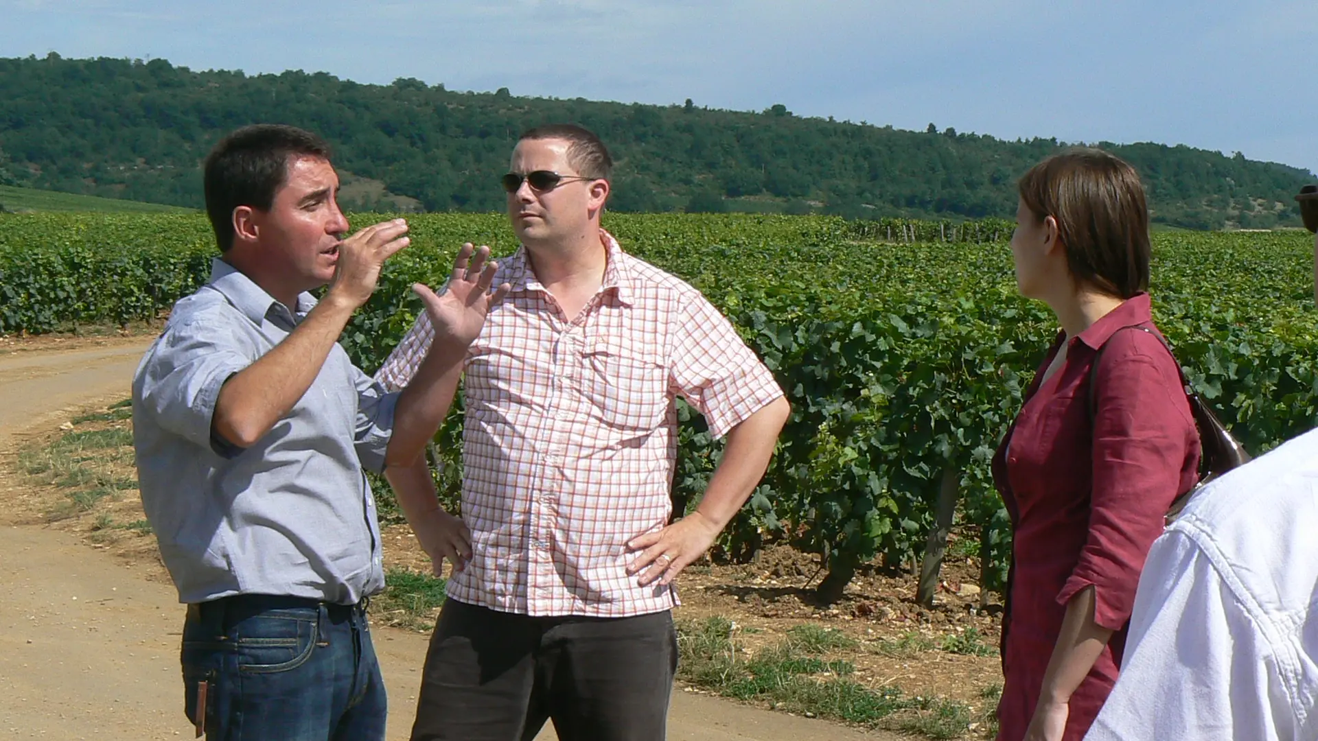 Balade Atelier Vigne et Vin2