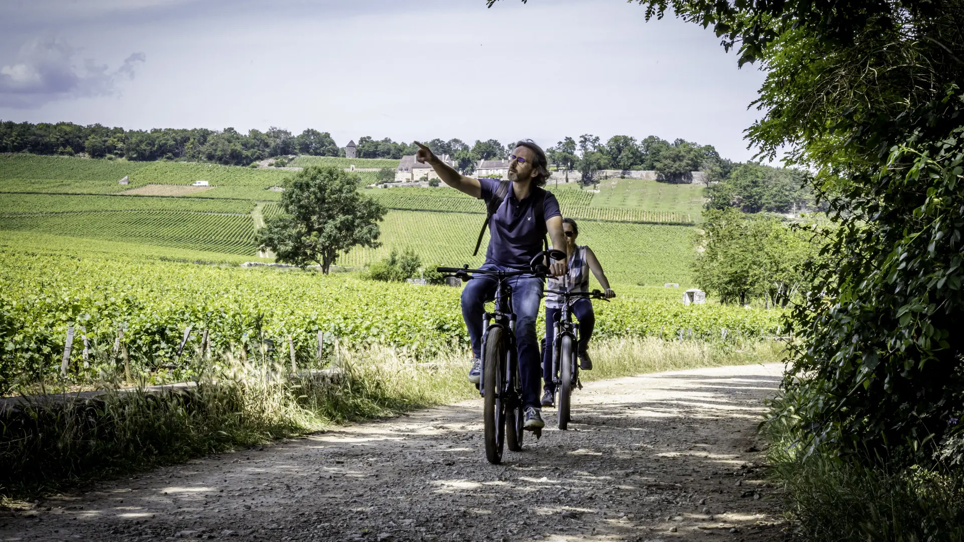 Balade Vélo Bois Chevaux