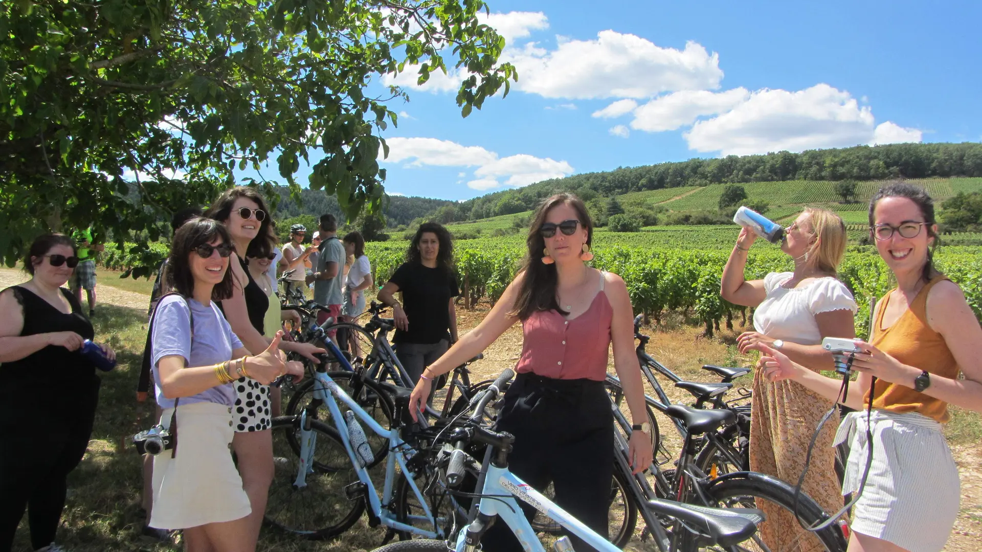 Balade dans les vignes - Beaune