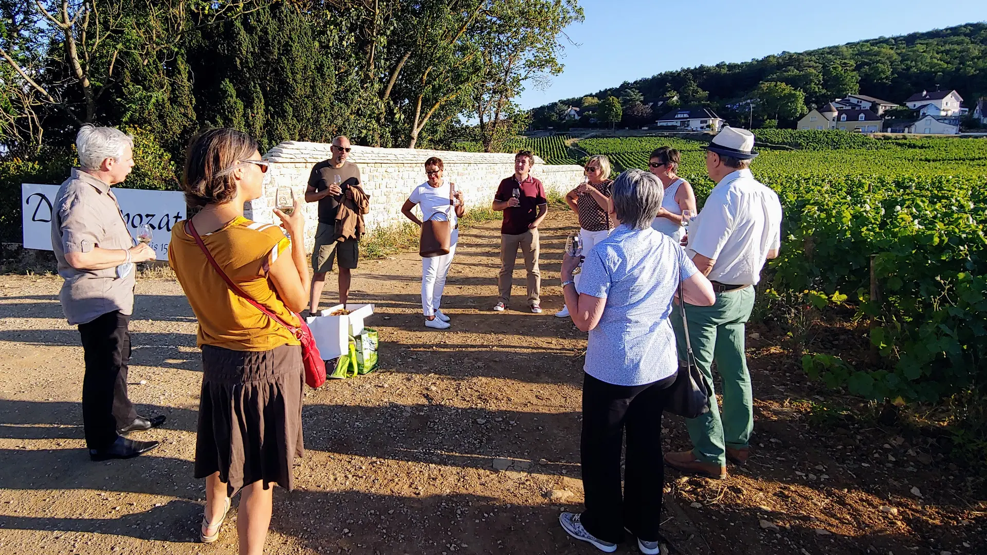 Balade-et-dégustations- apéro-vignes