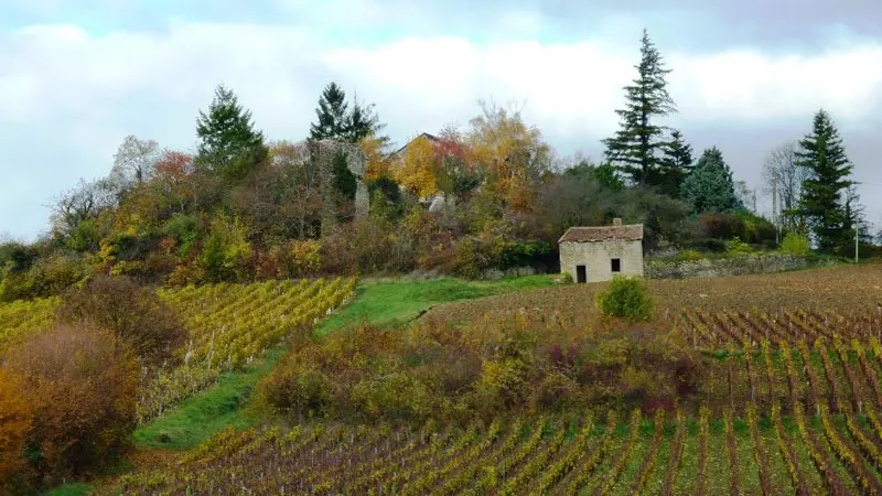 Chemin Saint Jacques Beaune Cluny