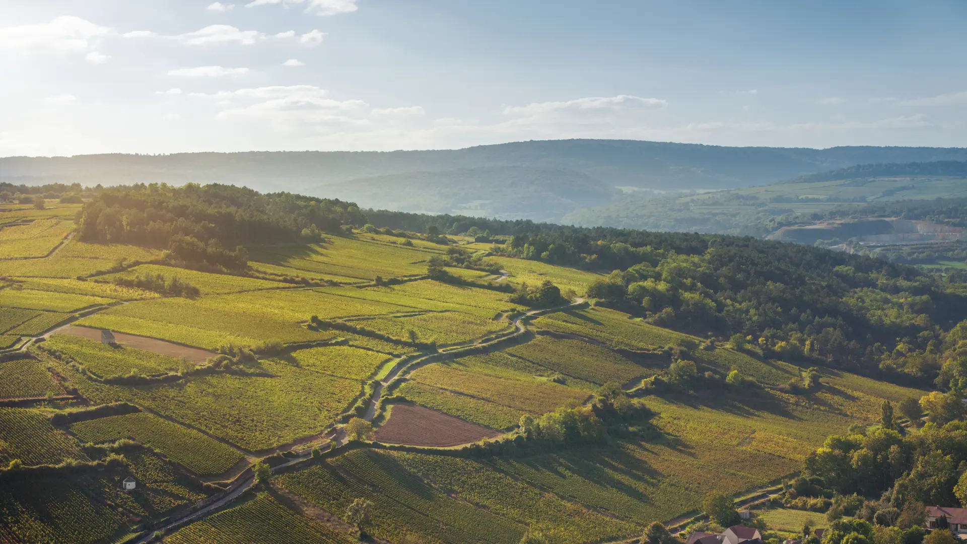 Burgundy vineyards - Aerial views (1)