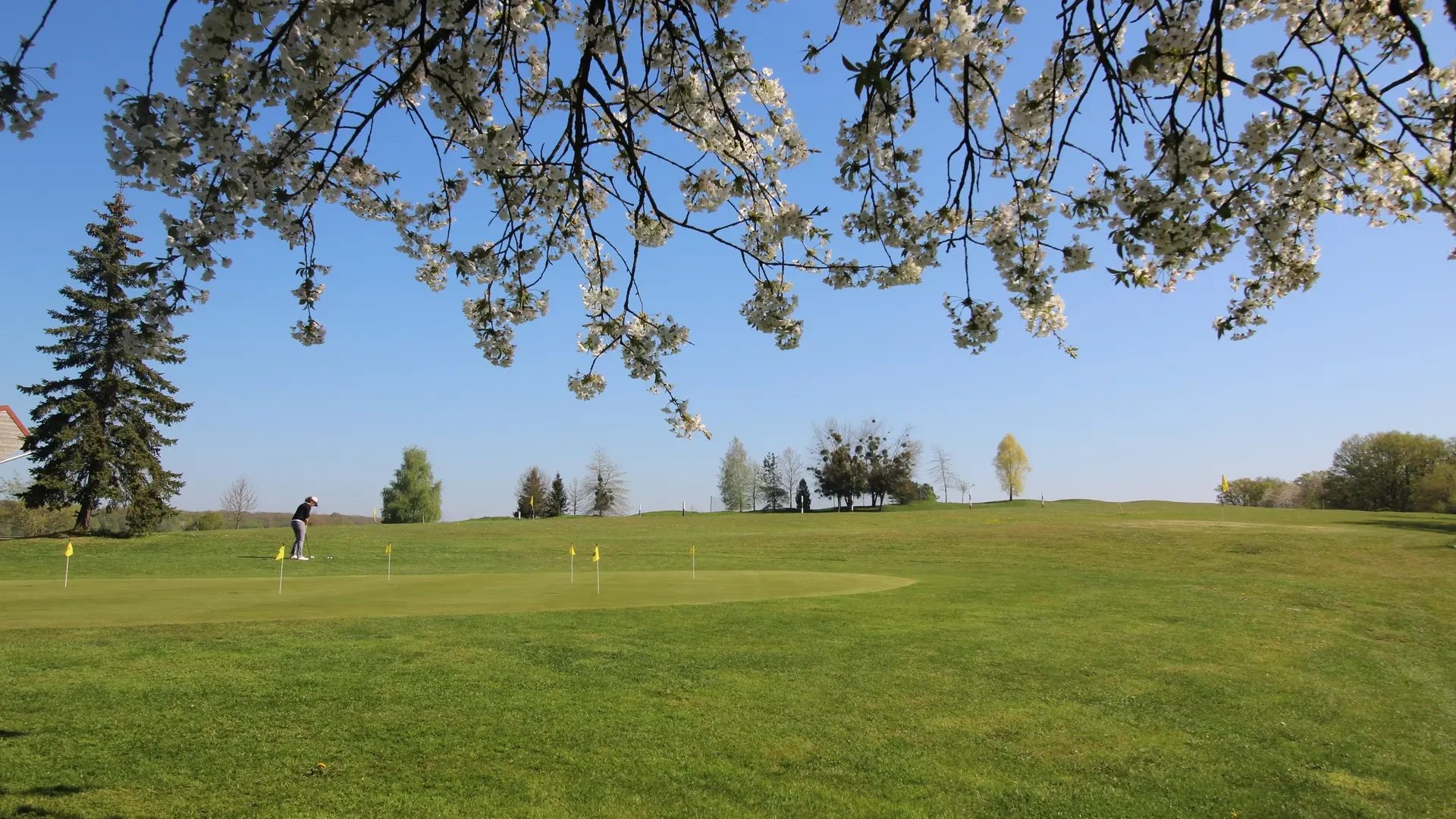 Golf Vosges du Sud - green