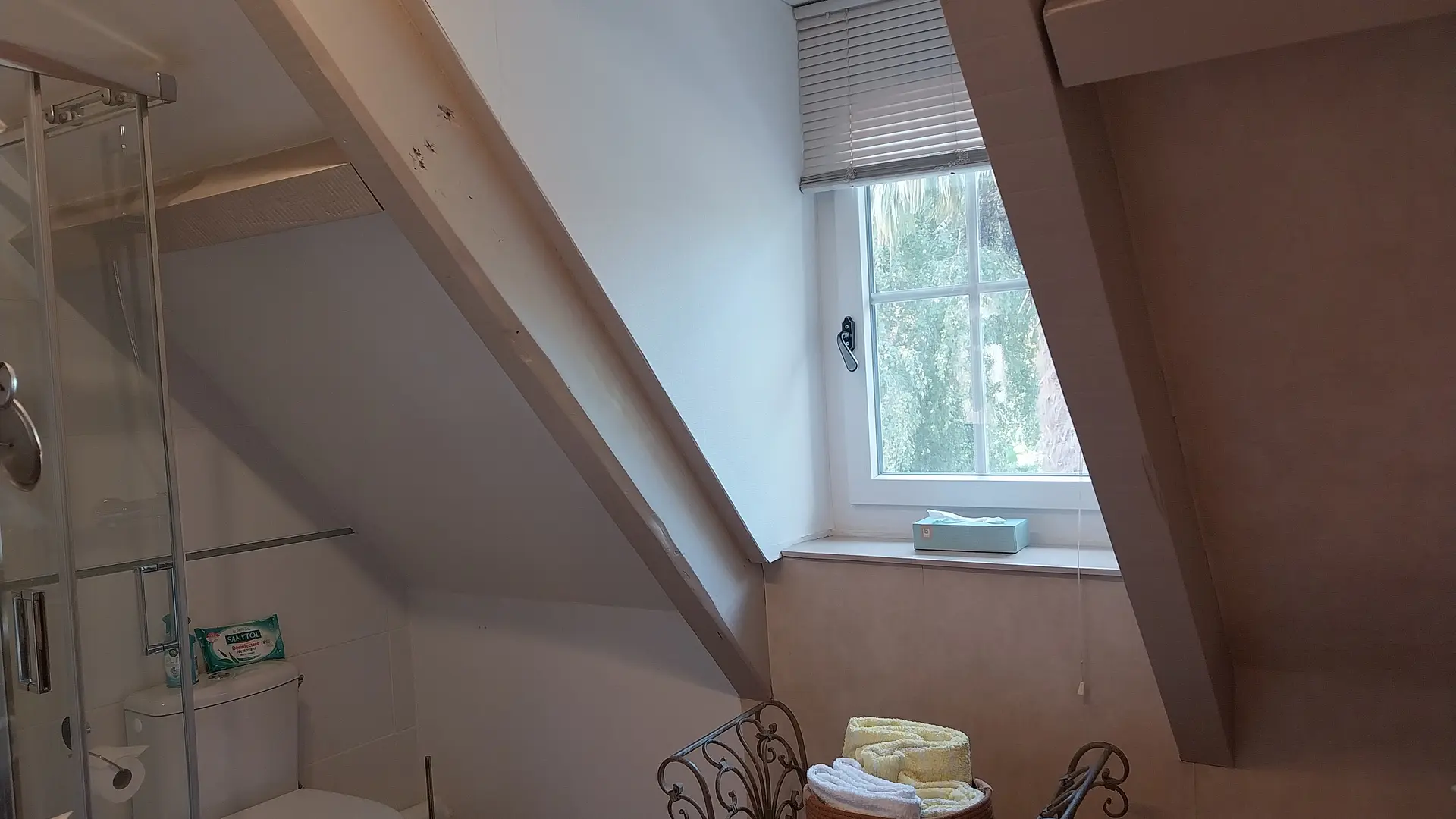 Gergy - Hébergement - La Renaudière - Chambre Orchidée (4)