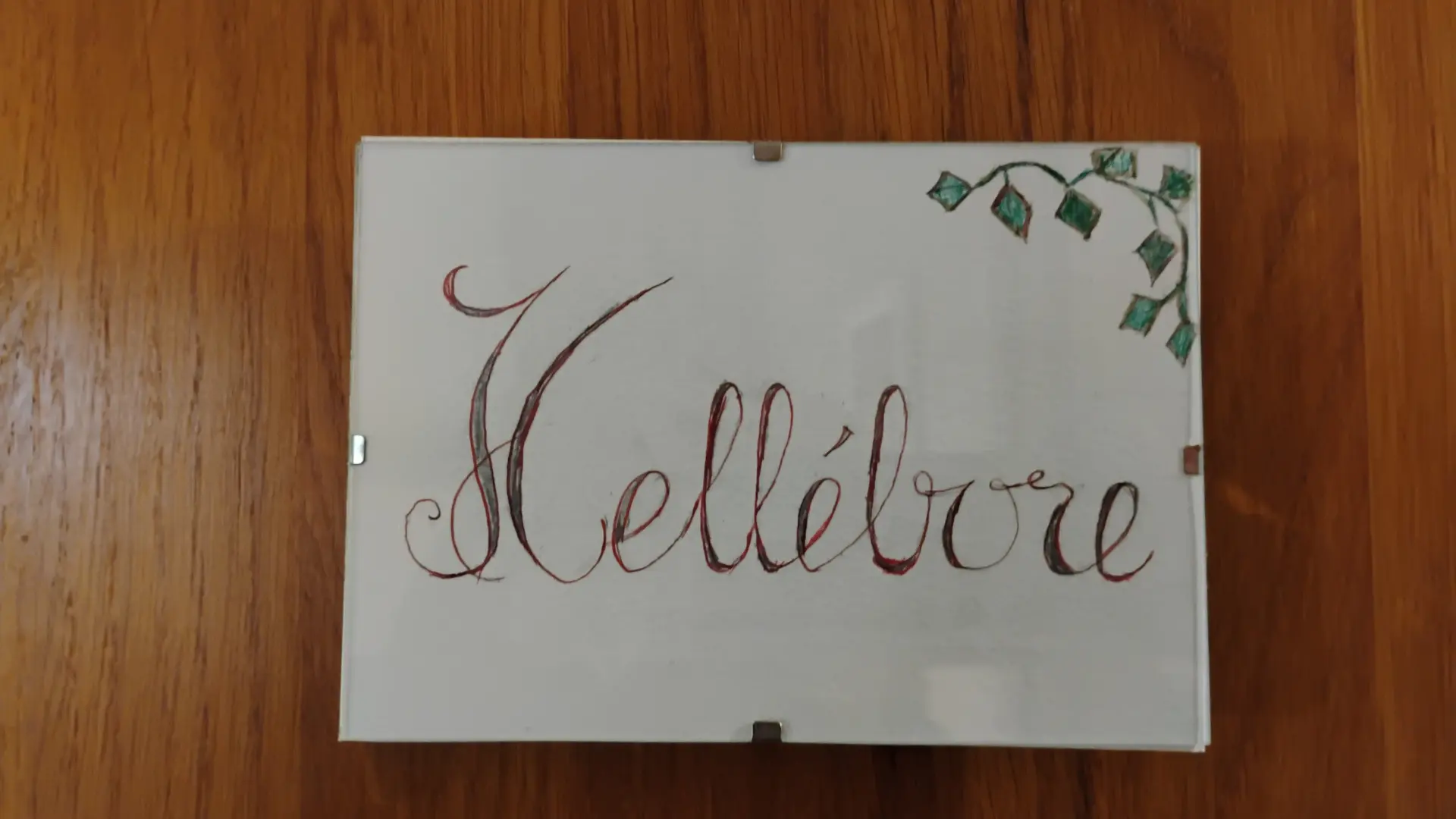 Gergy - Hébergement - La Renaudière - Chambre Hellebore (1)