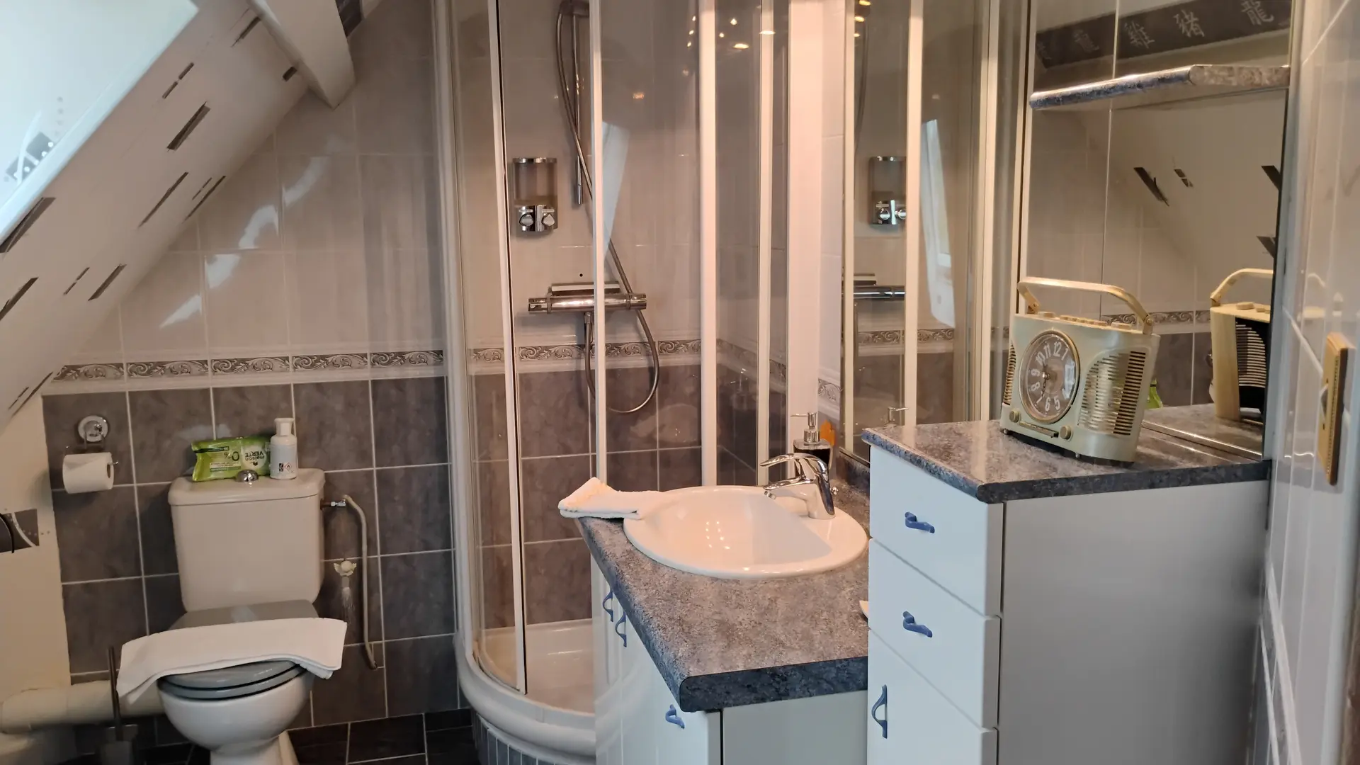 Gergy - Hébergement - La Renaudière - Chambre Hellebore (2)