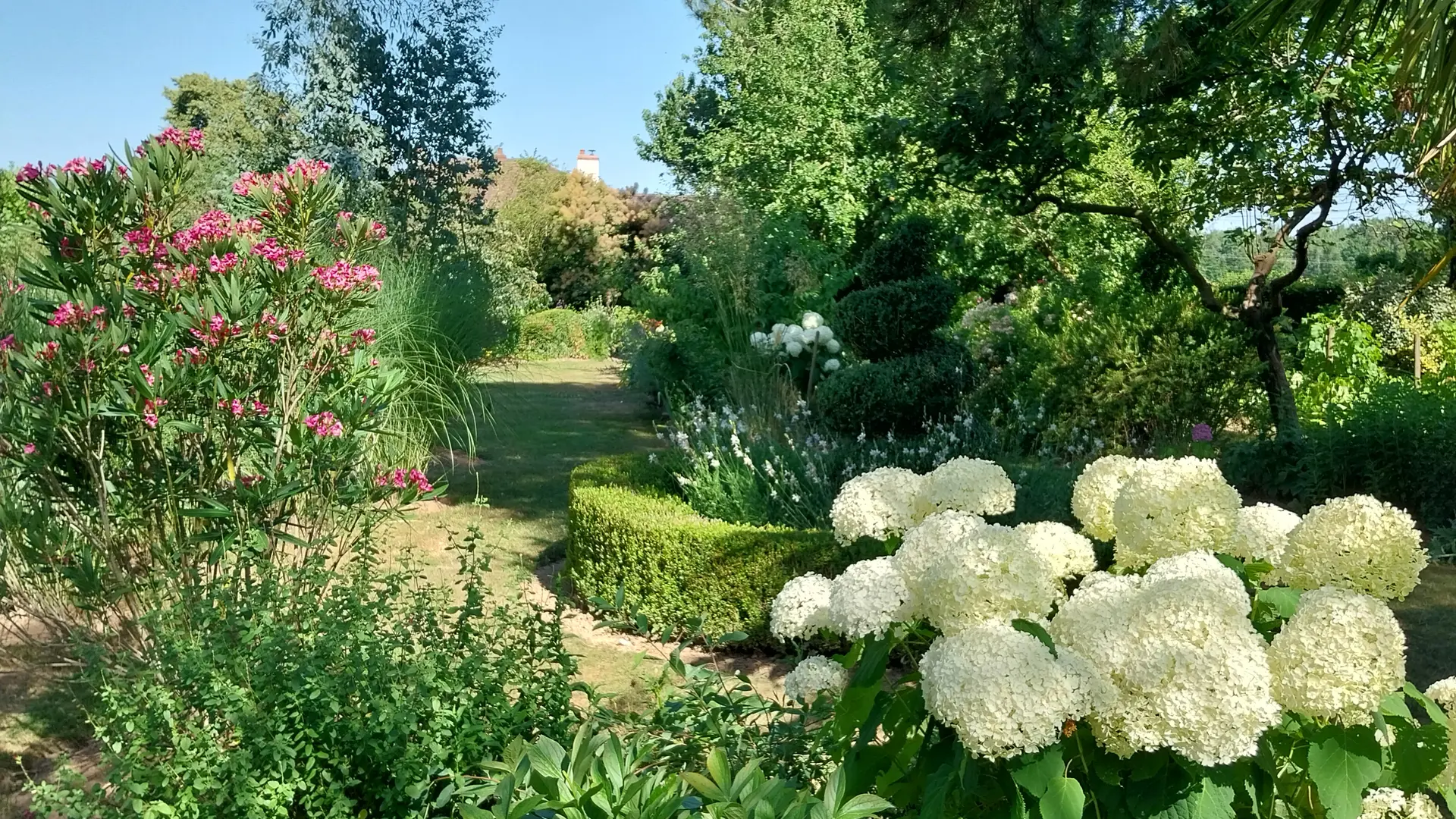 Gergy - Hébergement - La Renaudière - Jardin (3)