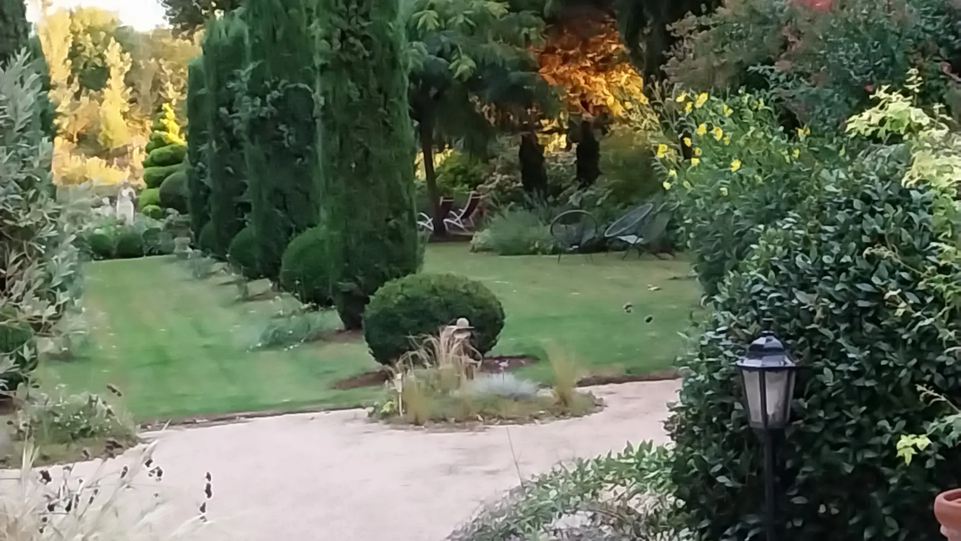 Gergy - Hébergement - La Renaudière - Jardin (4)