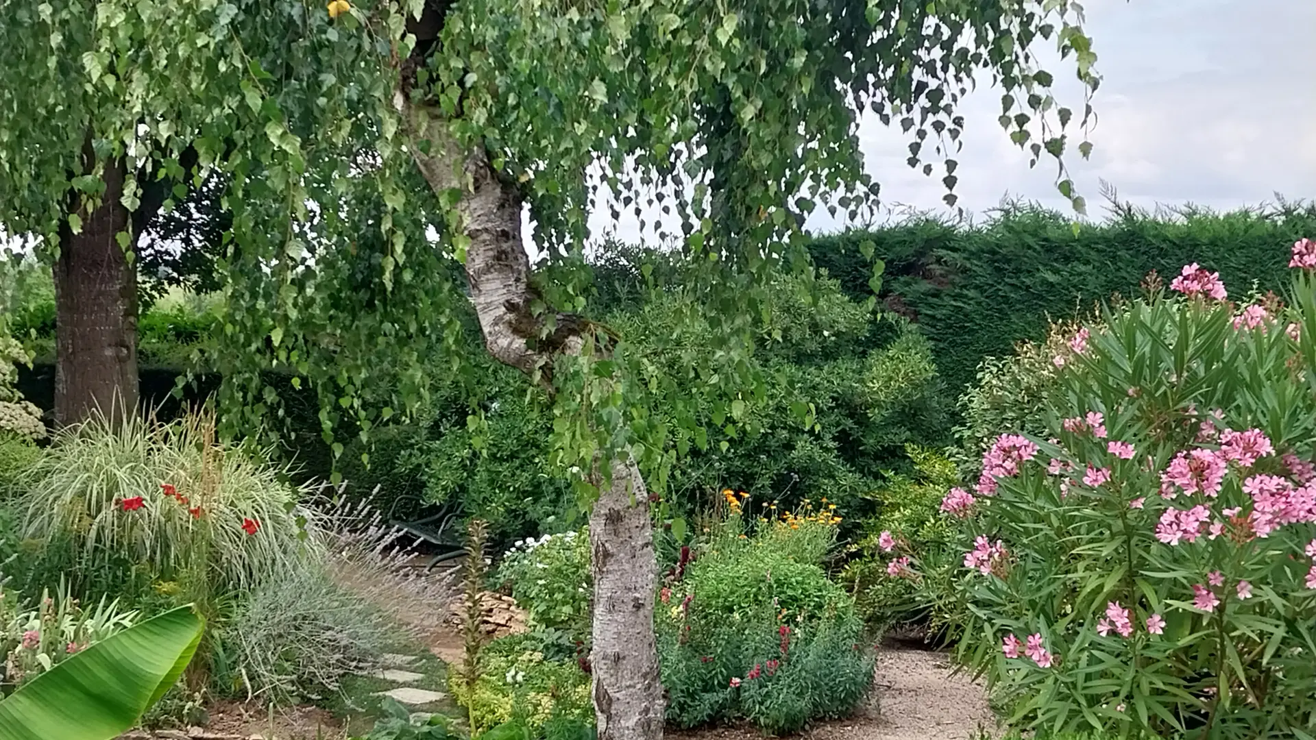 Gergy - Hébergement - La Renaudière - Jardin (7)