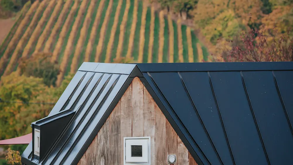 Vue sur les vignes