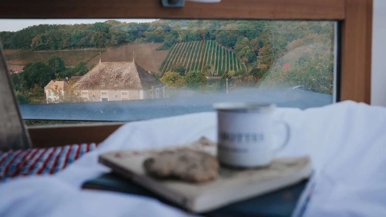 Vue sur les vignes depuis le lit