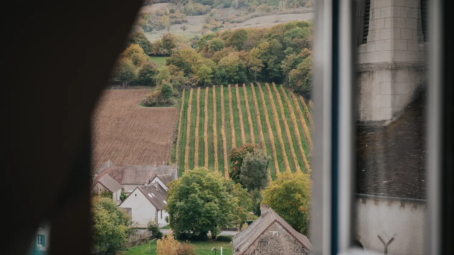 Vue sur les vignes depuis la chambre