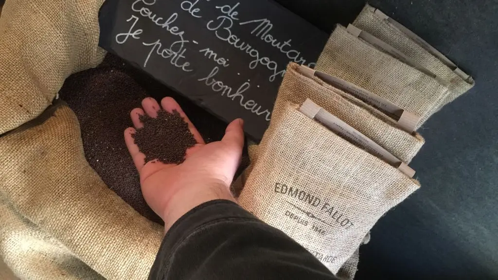 Atelier Moutarde - Graines de moutarde