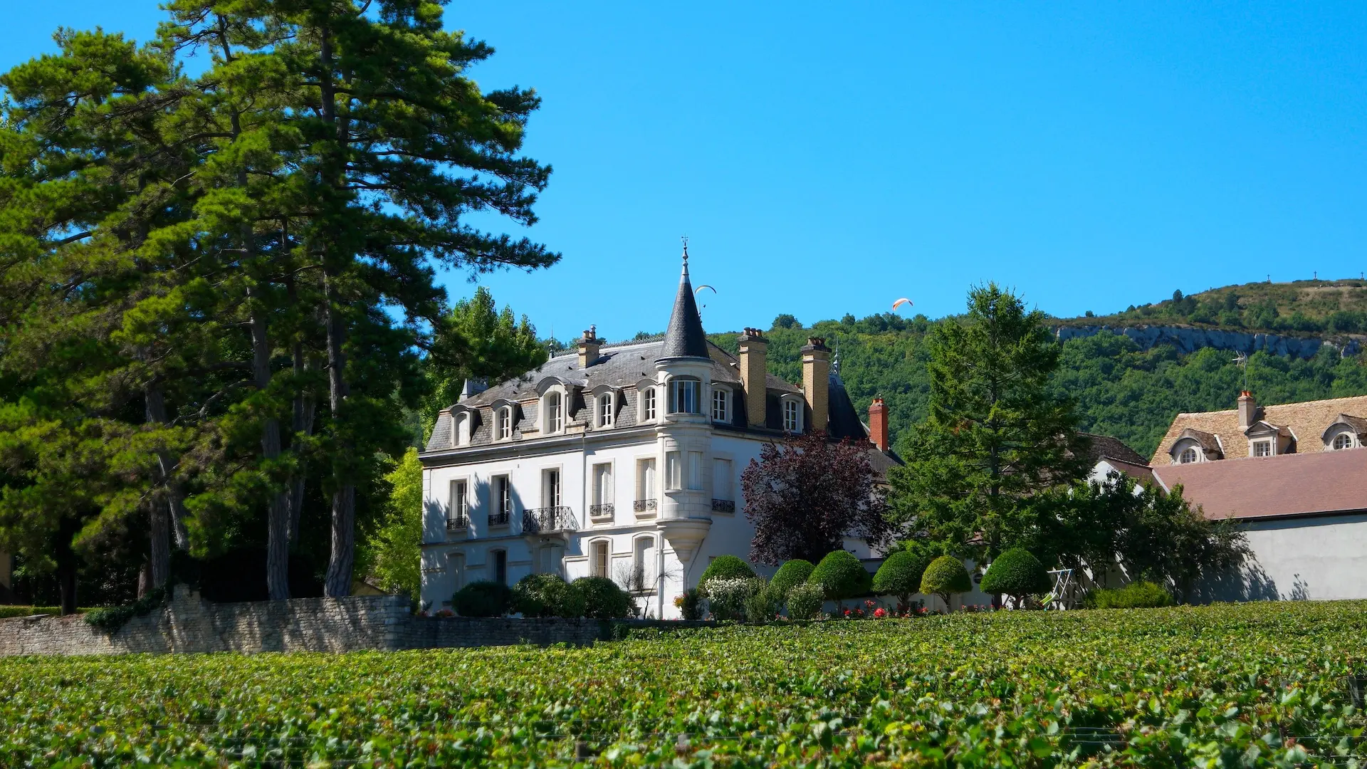 Domaine Chapelle