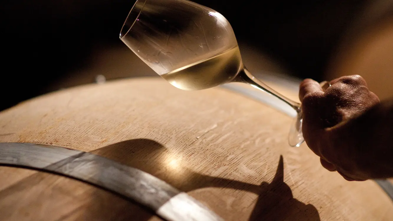 DEGUSTATION