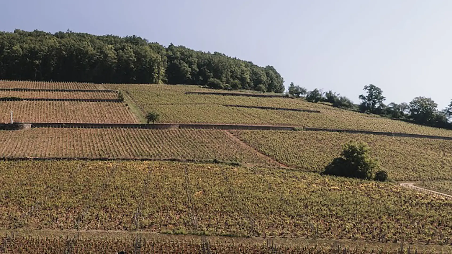 DJI_0223 retaille