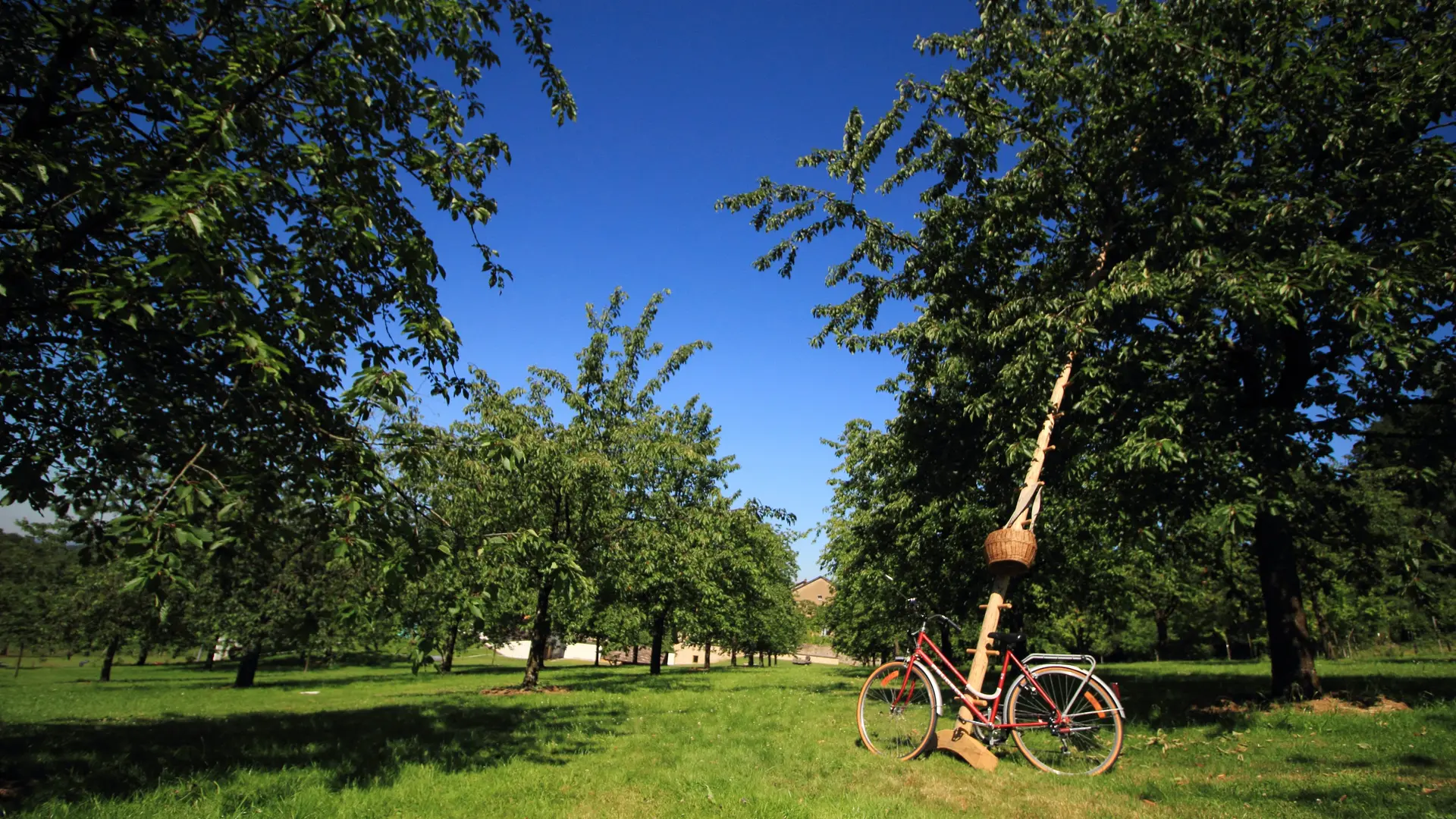 circuit de l'écomusée - vergers de l'écomusée