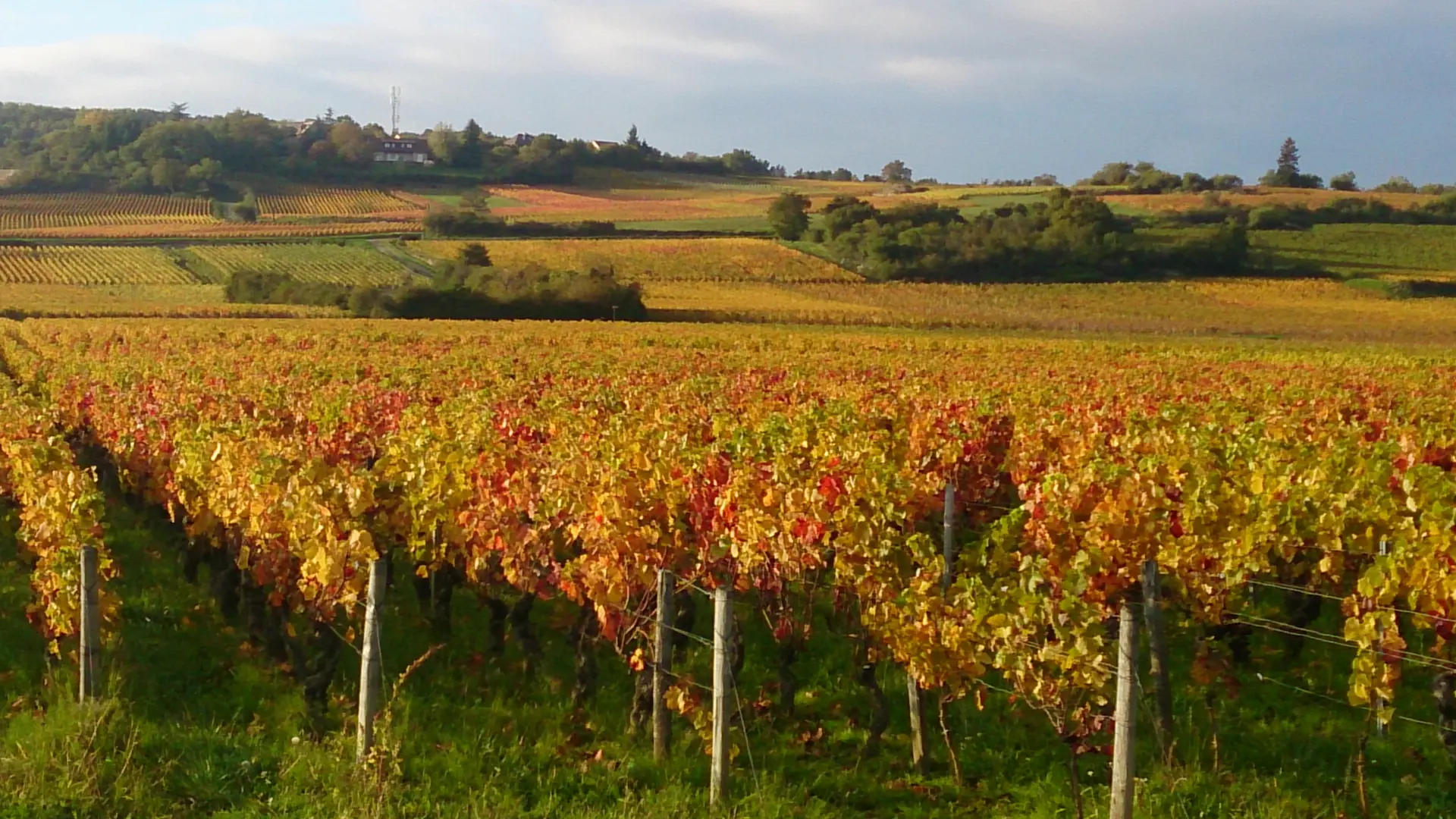 Les coteaux en automne