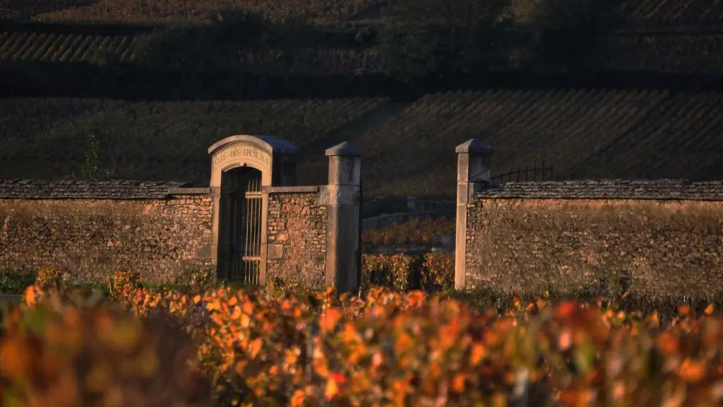 Circuit-privatise - Cote-de-Beaune-et-Cote-de-Nuits