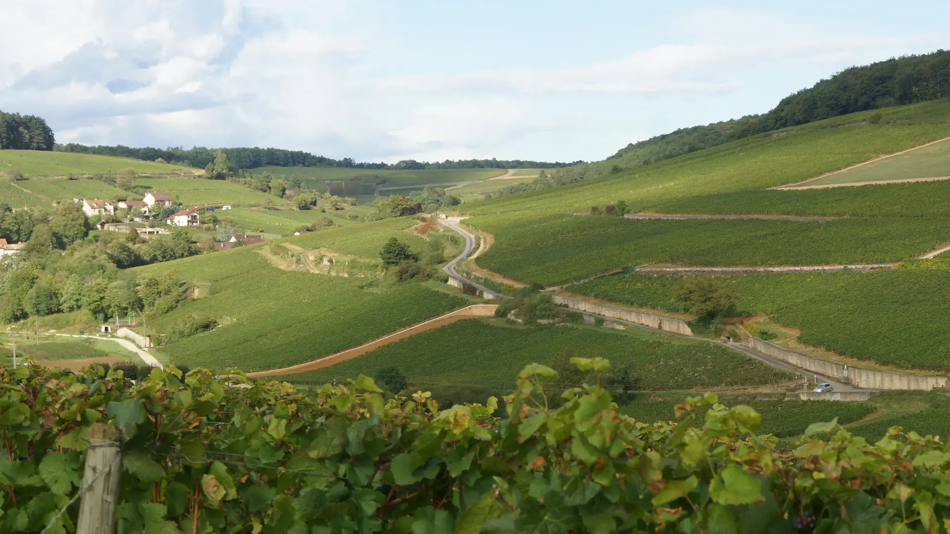 Panorama sur Pernand Vergelesses