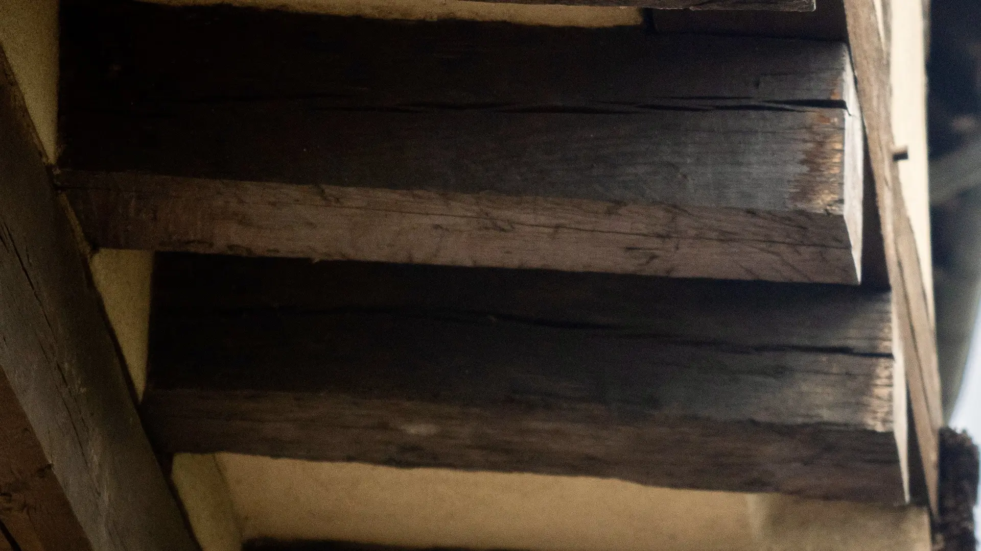DSC04014