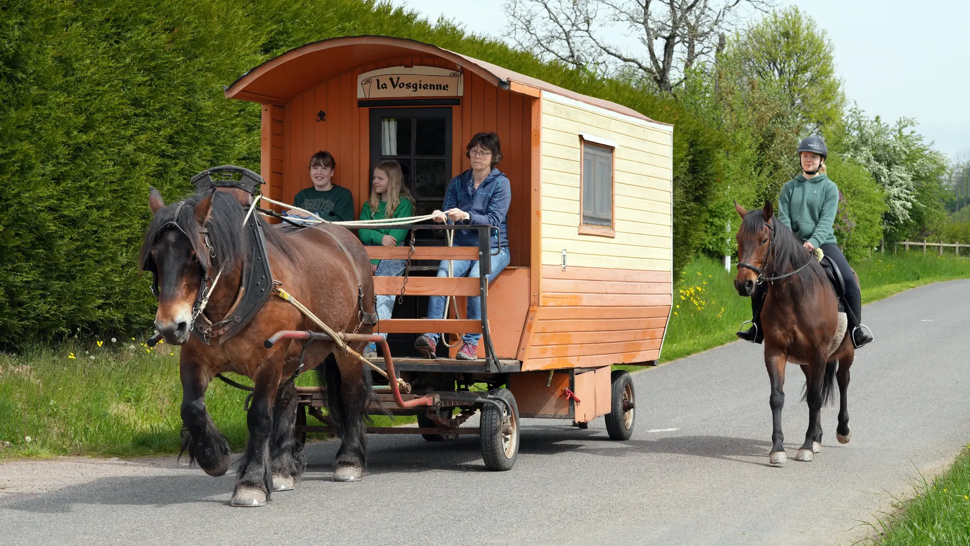 roulotte accompagnée d'un cheval de selle