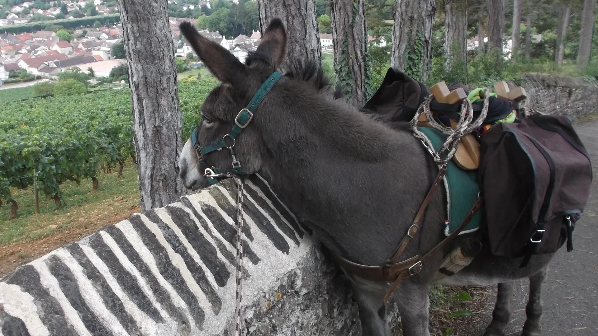 Petite balade avec Jhon