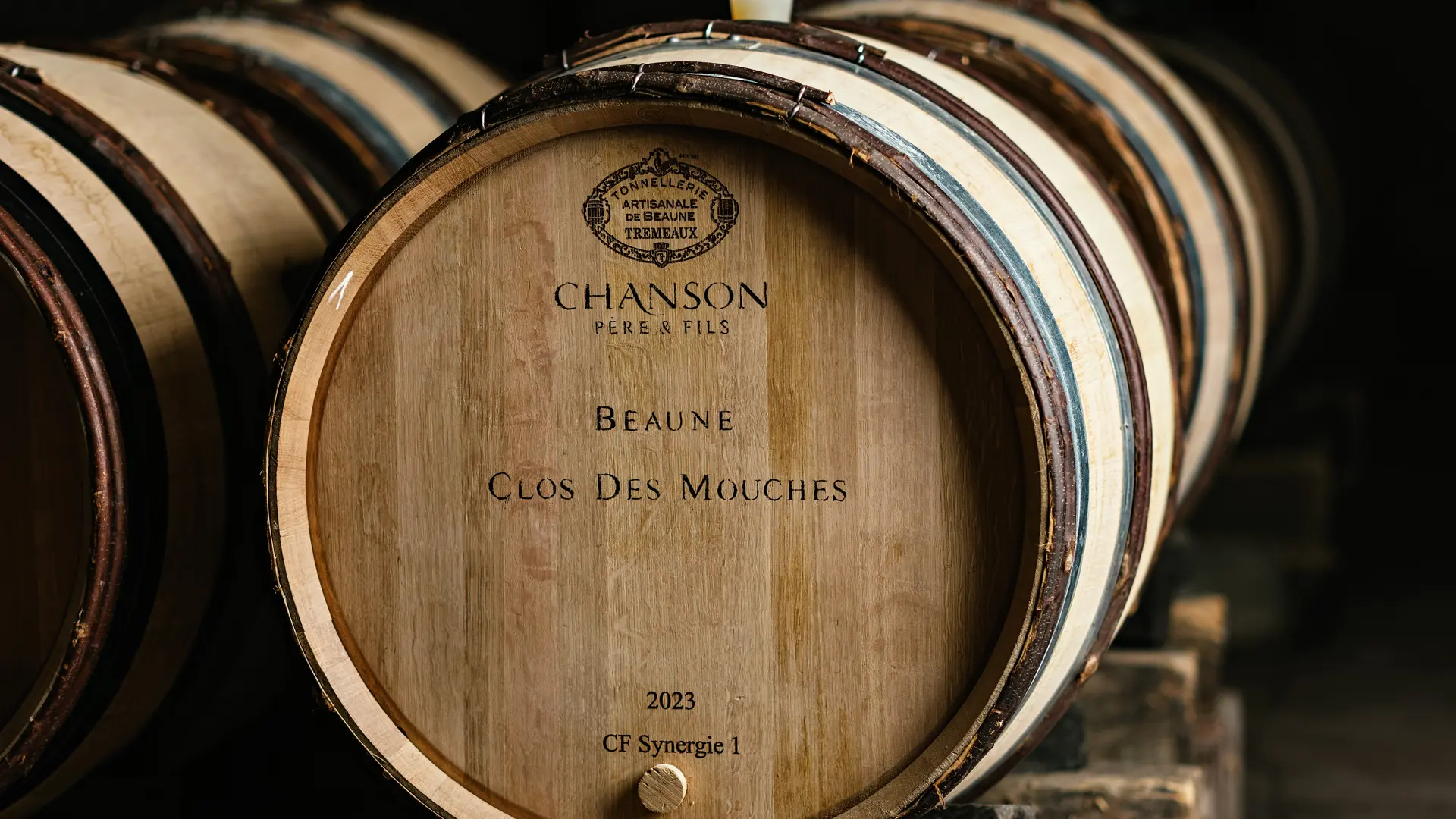 DOMAINE CHANSON