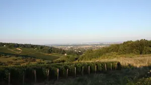 Domaine Chofflet-Valdenaire