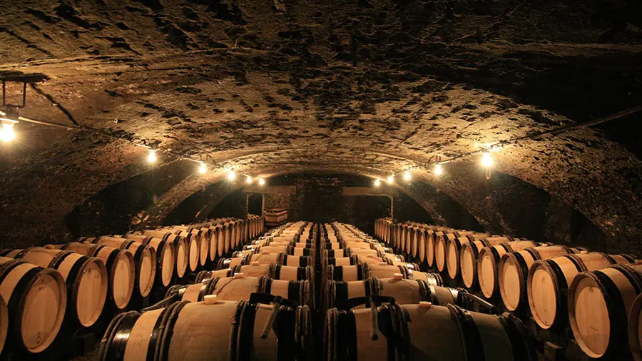Domaine-Jeannin-Naltet-(1)