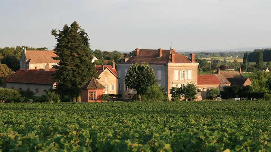 Domaine-Jeannin-Naltet-(2)