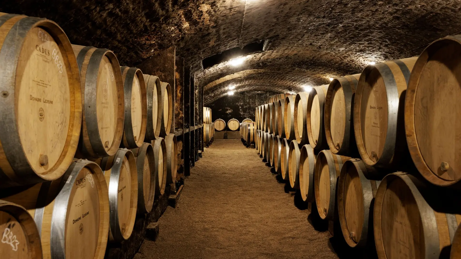 Domaine Lejeune-Automne 2023-030-Antoine Martel-Photographe