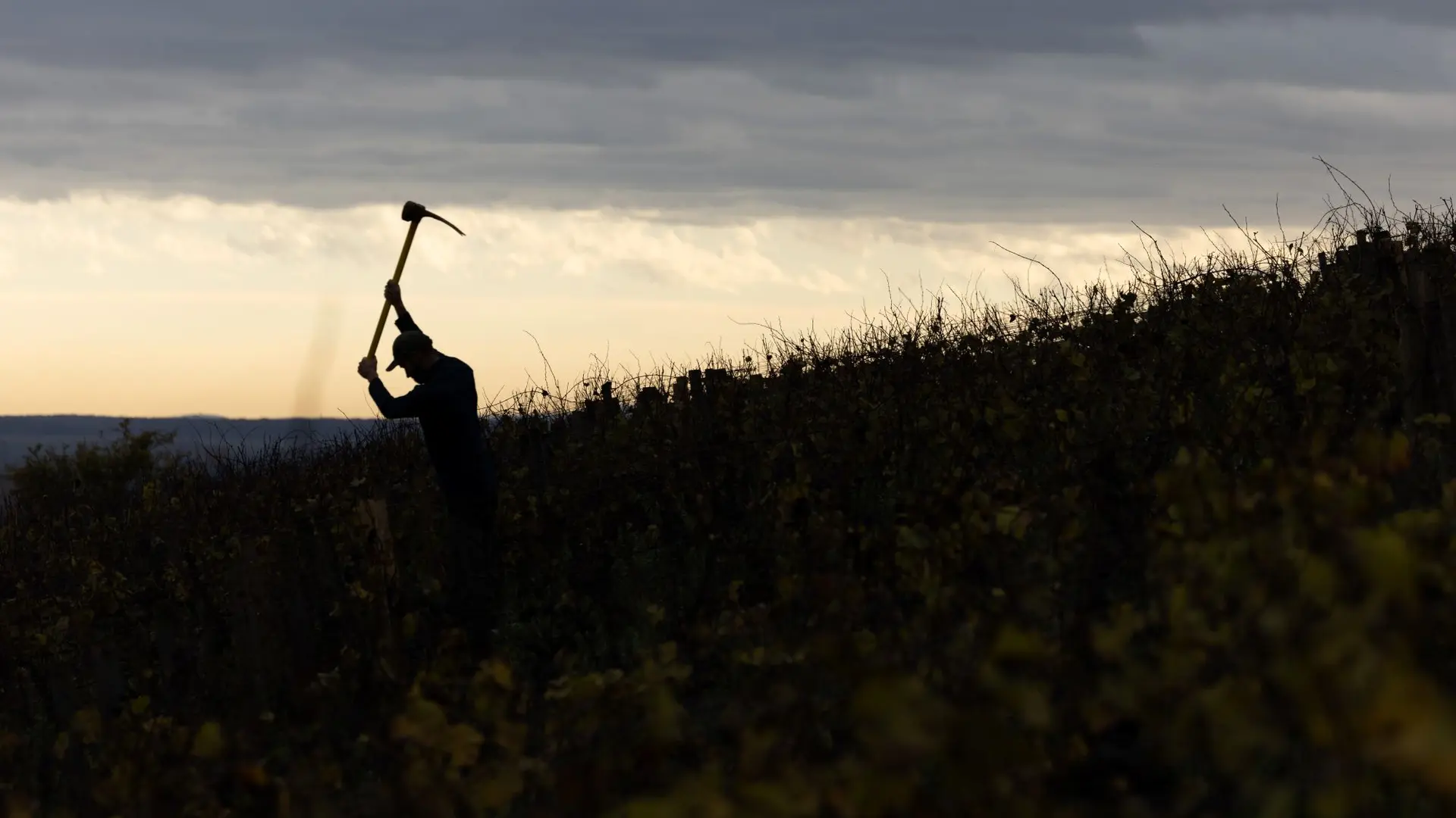 Domaine Lejeune-Automne 2023-071-Antoine Martel-Photographe