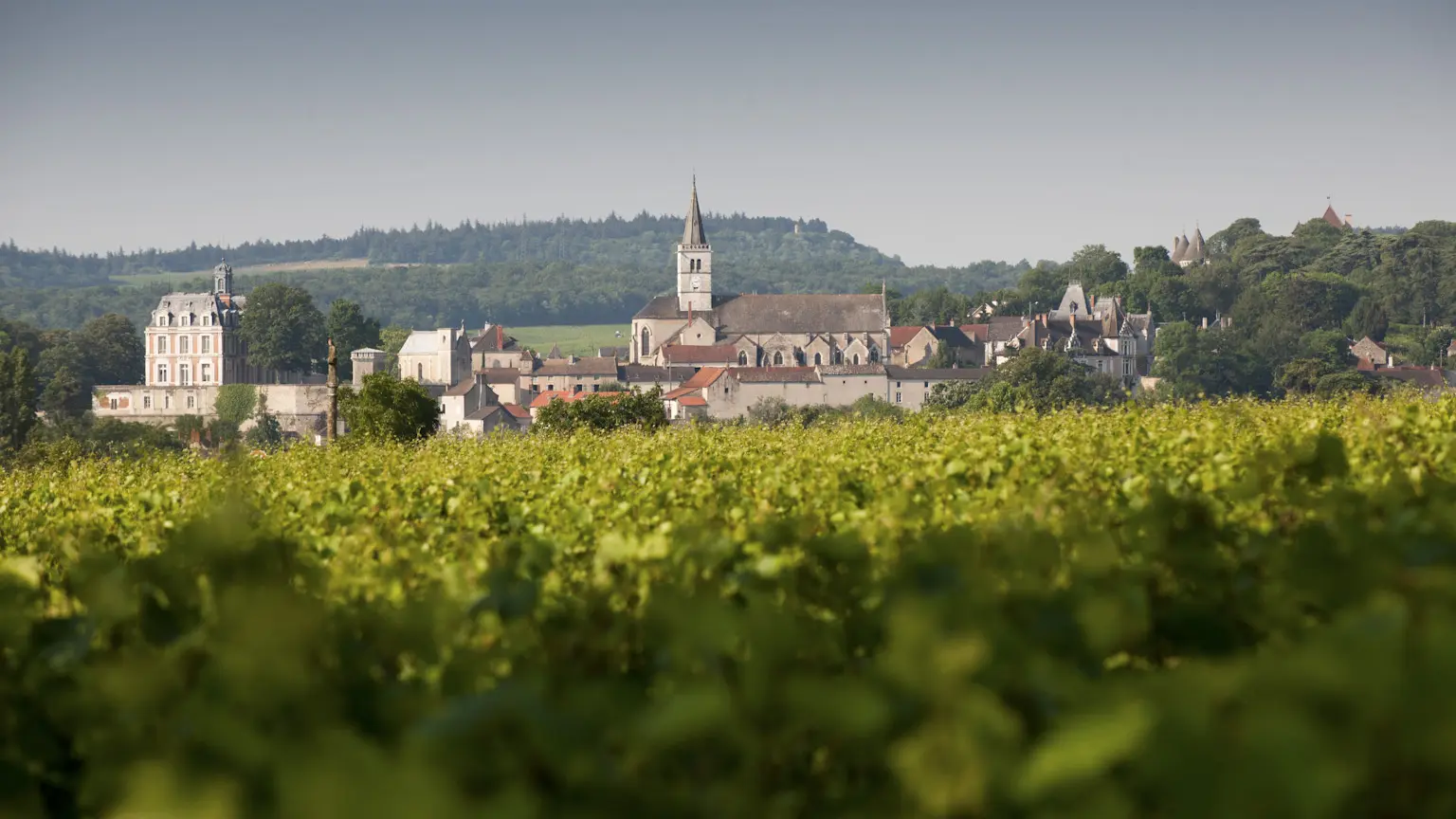 Domaine Ninot