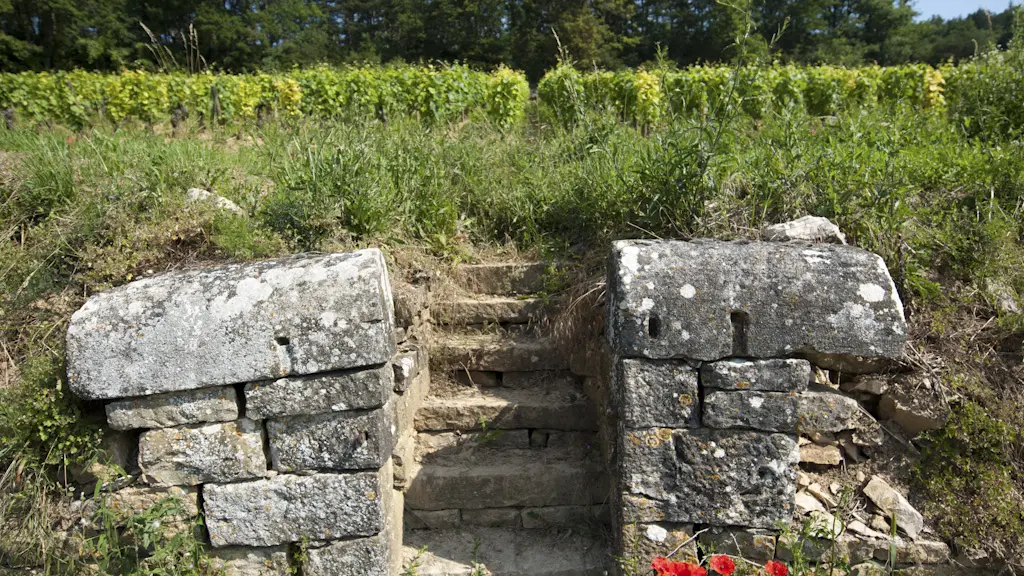 Domaine Ninot