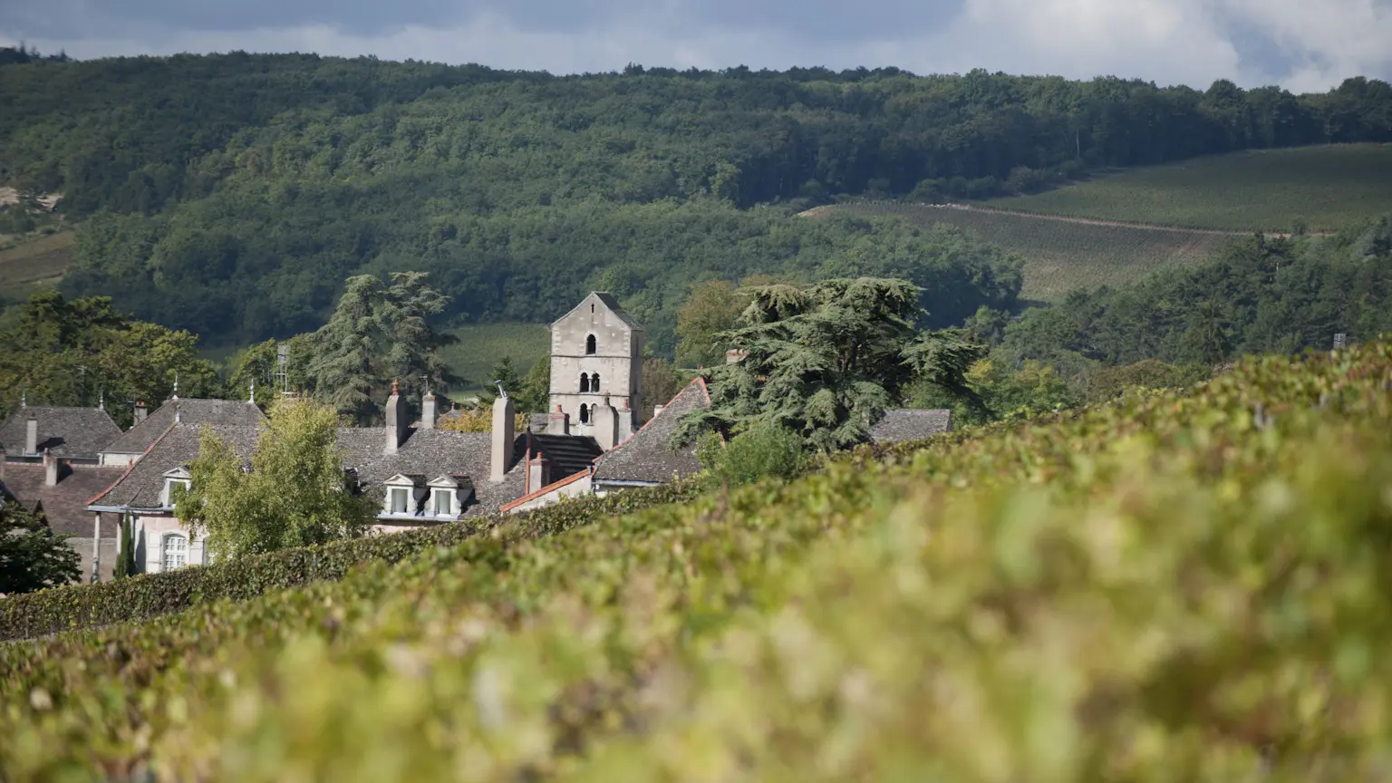 Domaine Ninot