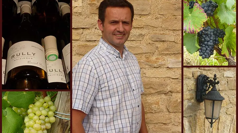 Domaine de l'Ecette - Daux Vincent