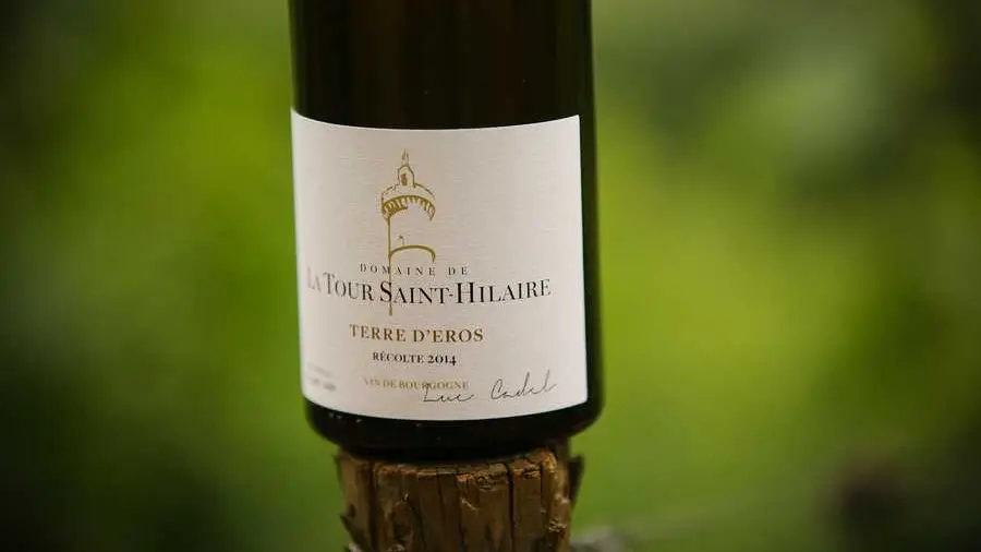 Domaine de la Tour Saint-Hilaire