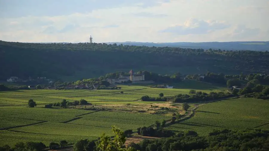 Domaine de la Tour Saint-Hilaire
