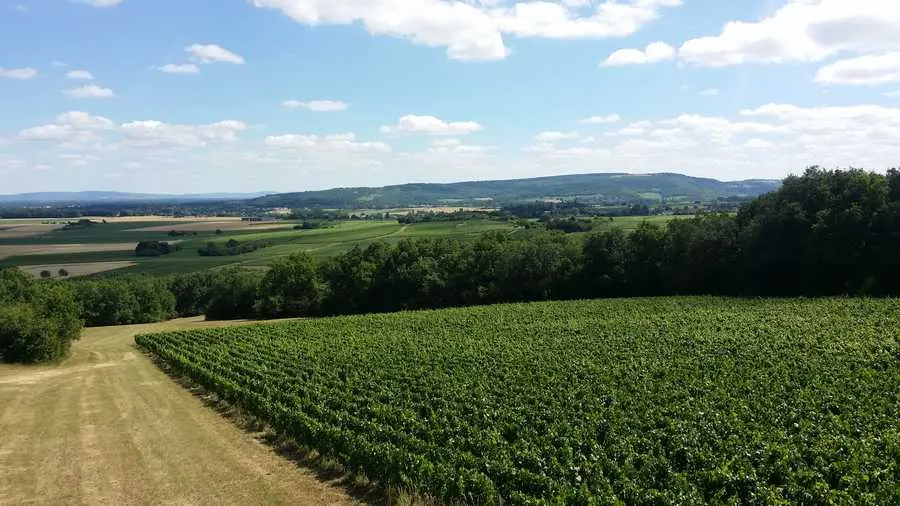 Domaine de la Tour Saint-Hilaire