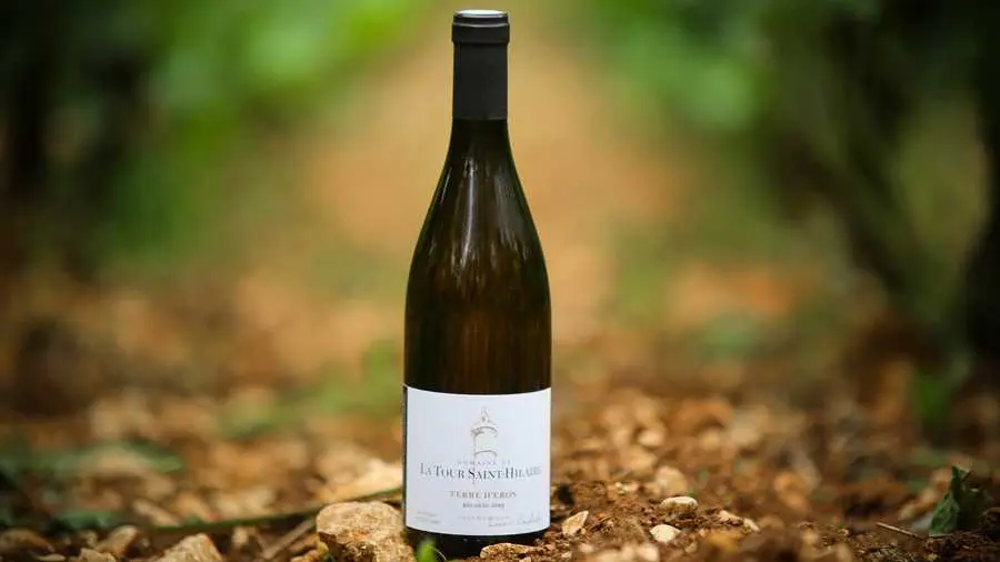 Domaine de la Tour Saint-Hilaire