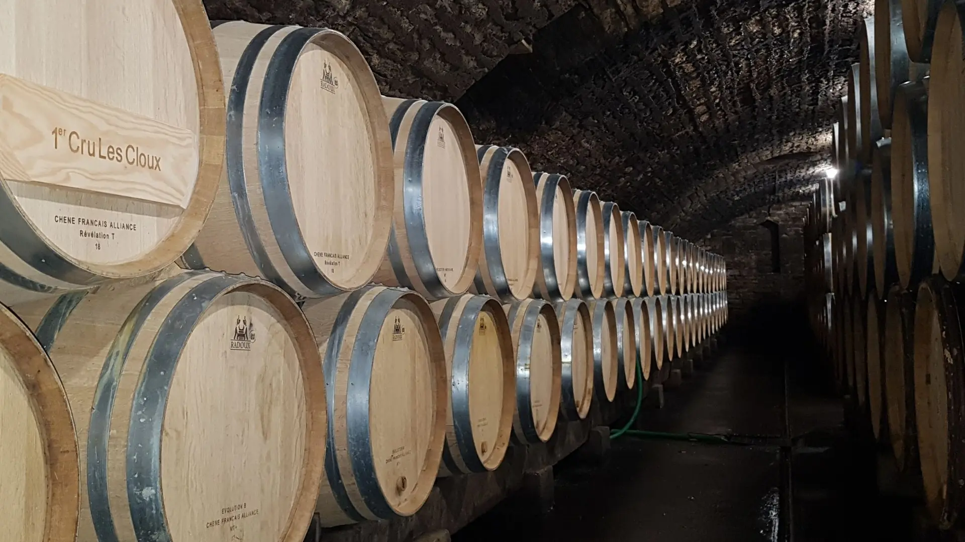 Domaine des Chauchoux 2