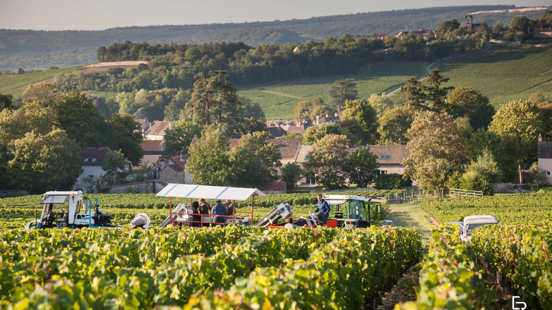 Domaine du Four Bassot