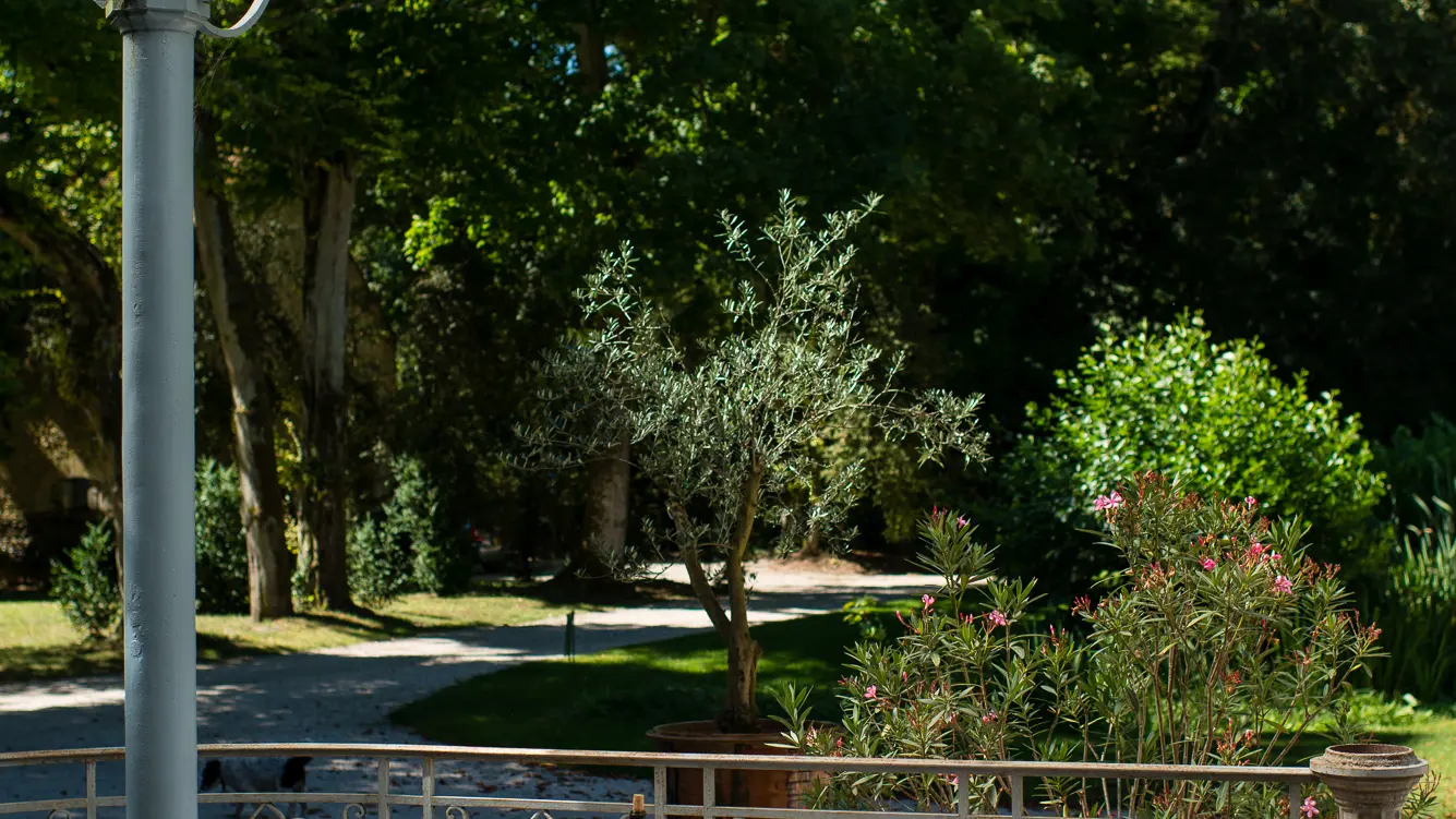 Détente dans le parc-Chateau-de-Tailly