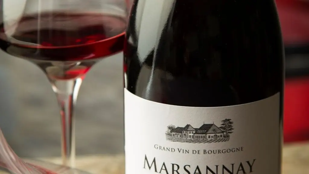 Degustation-Chateau-de-Marsannay