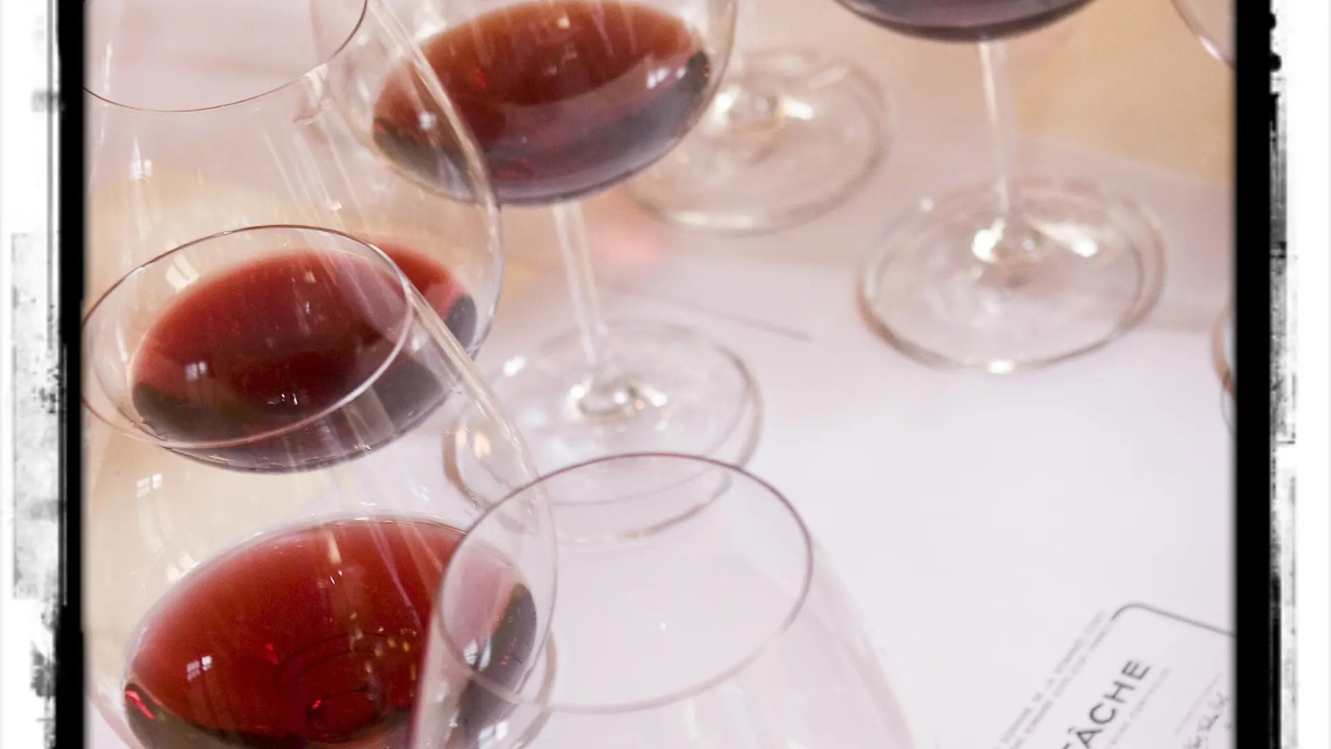 Dégustation La Tâche au domaine de la Romanée-Conti