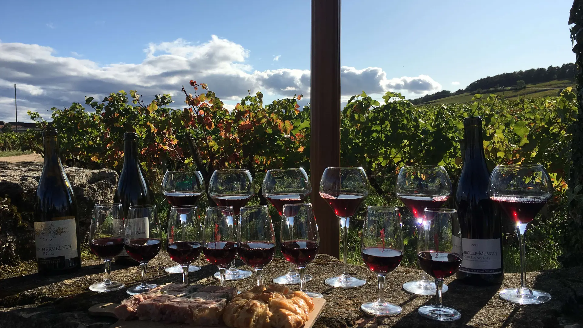 Dégustations extra de grands vins de bourgogne Velovitamine (2)