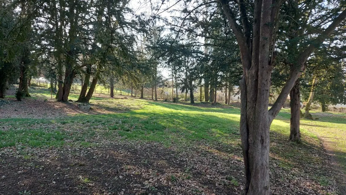 Dennevy - Parc communal - 2021 (7)